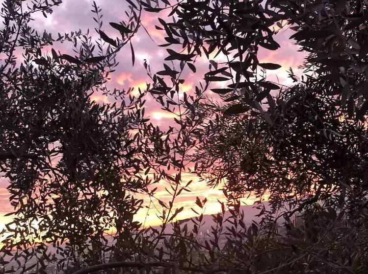 בית מלון כפרי Agriturismo Poggio Alla Pieve