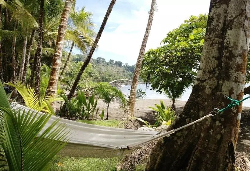 فندق Casa Corcovado Jungle Lodge