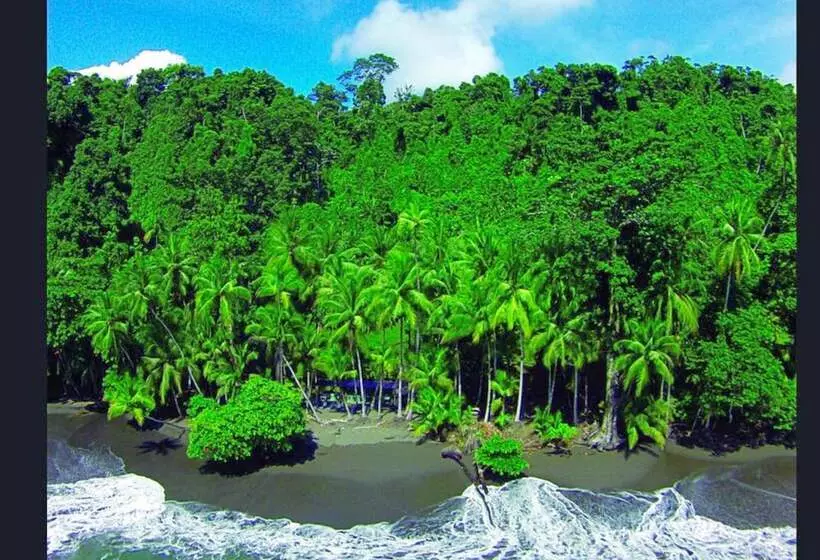 فندق Casa Corcovado Jungle Lodge