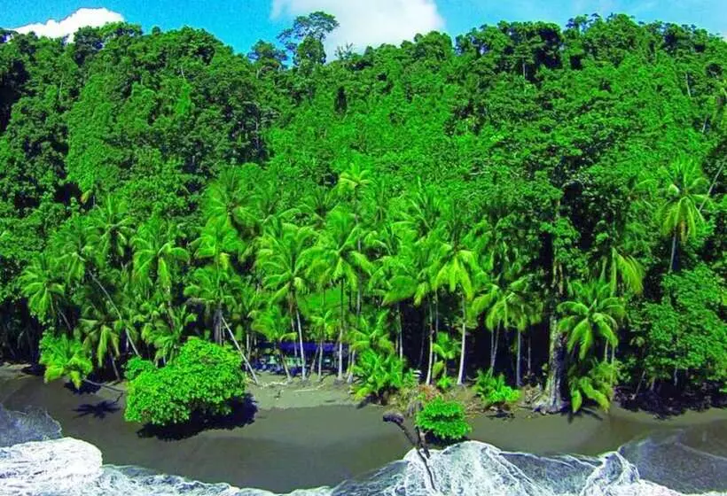 فندق Casa Corcovado Jungle Lodge