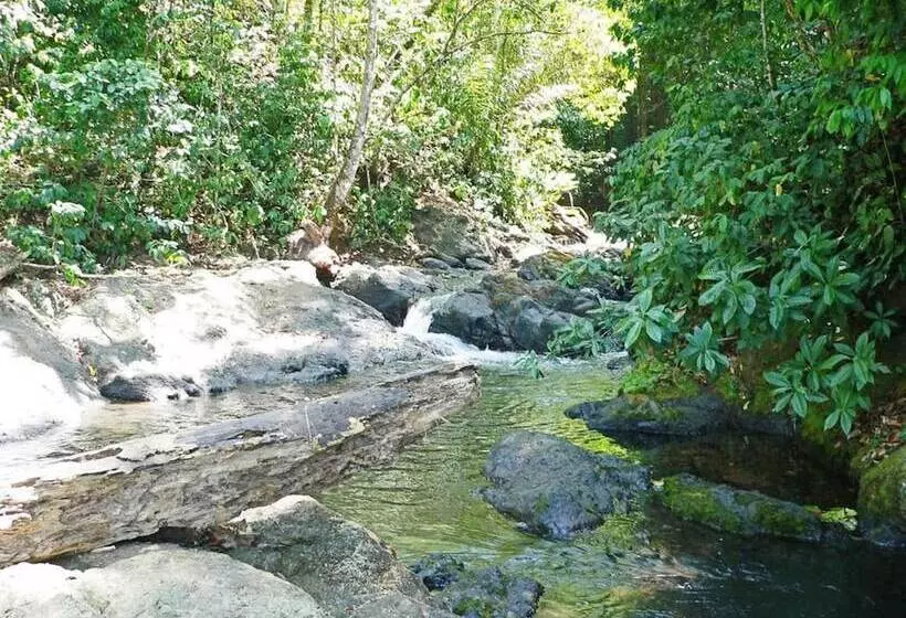 فندق Casa Corcovado Jungle Lodge