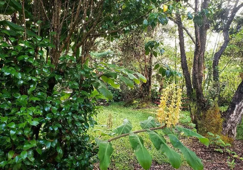 فندق Chalet Kilauea Collection - Inn At Volcano