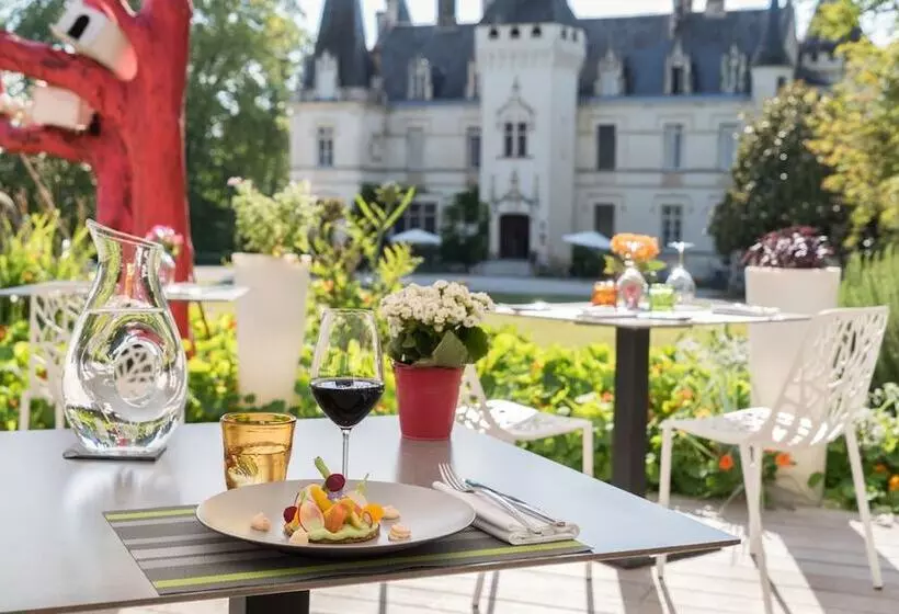 Отель Château De Nieuil