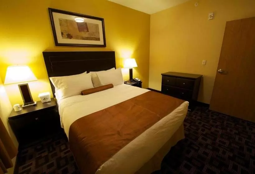 ホテル Days Inn & Suites By Wyndham Winnipeg Airport Manitoba