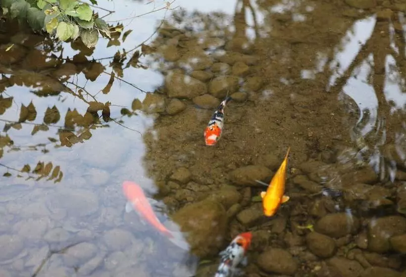 فندق Guilinyi Royal Palace