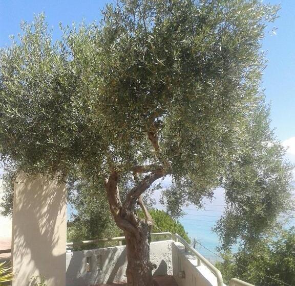 Отель Studios Afitos