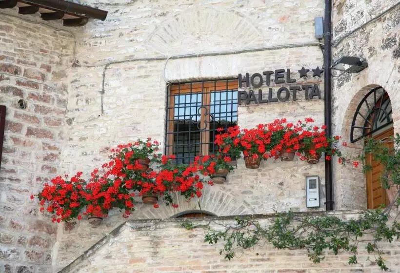 Hotel Pallotta
