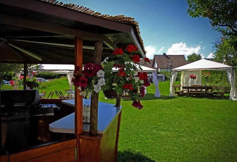 호텔 Waldblick Bsr Mit Kostenlose Bonuskarten Für Schifffahrten, Thermen, Museen Ab 2 Nächte