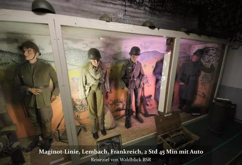 호텔 Waldblick Bsr Mit Kostenlose Bonuskarten Für Schifffahrten, Thermen, Museen Ab 2 Nächte