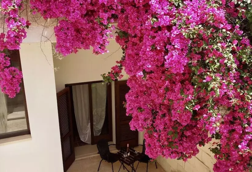 Agriturismo Masseria Del Bosco Makyva