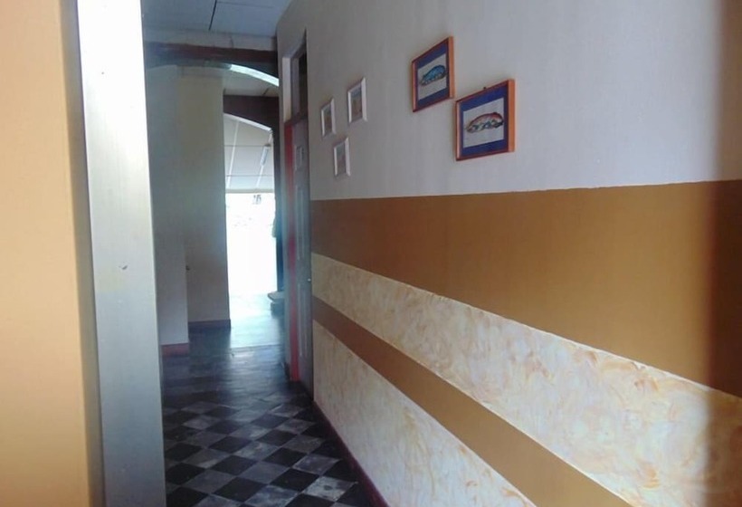 فندق Central Lodge