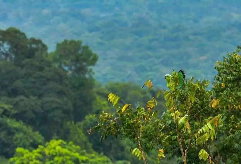 ホテル Mirador Prendas