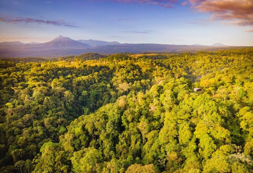 酒店 Mirador Prendas