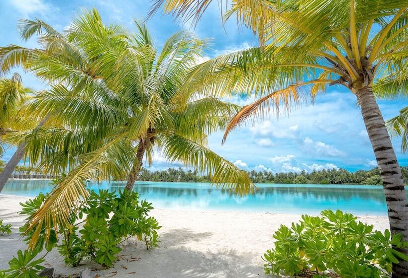 هتل Rahaa Resort Maldives