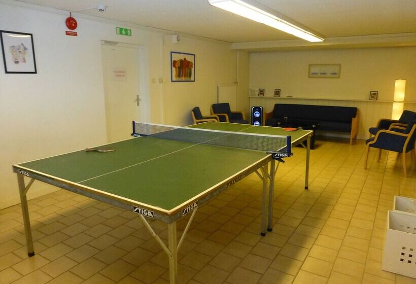 Hotel Saxvikens Vandrarhem