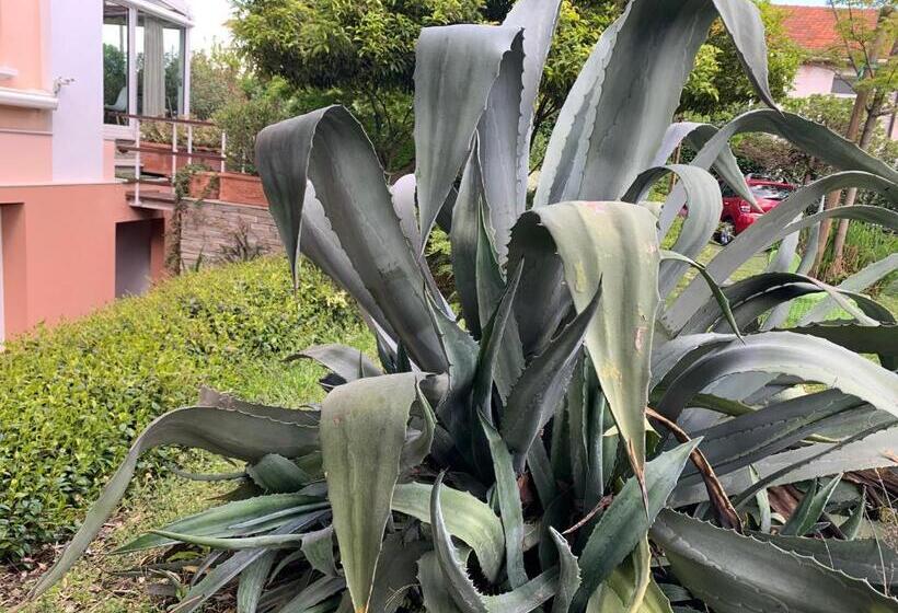 Bed and Breakfast Casabella Lago Maggiore