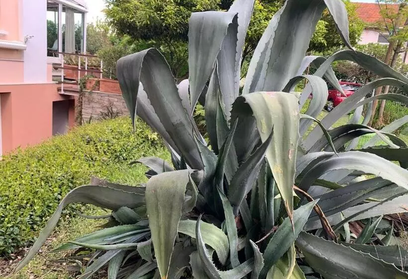 ベッドアンドブレックファースト Casabella Lago Maggiore