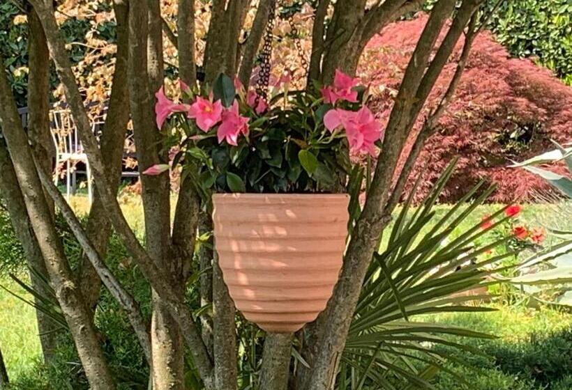 Bed and Breakfast Casabella Lago Maggiore