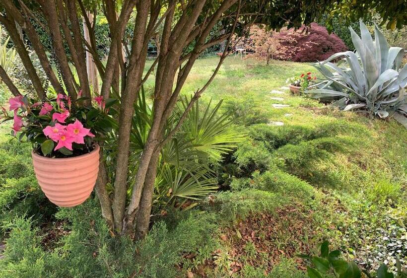 Bed and Breakfast Casabella Lago Maggiore