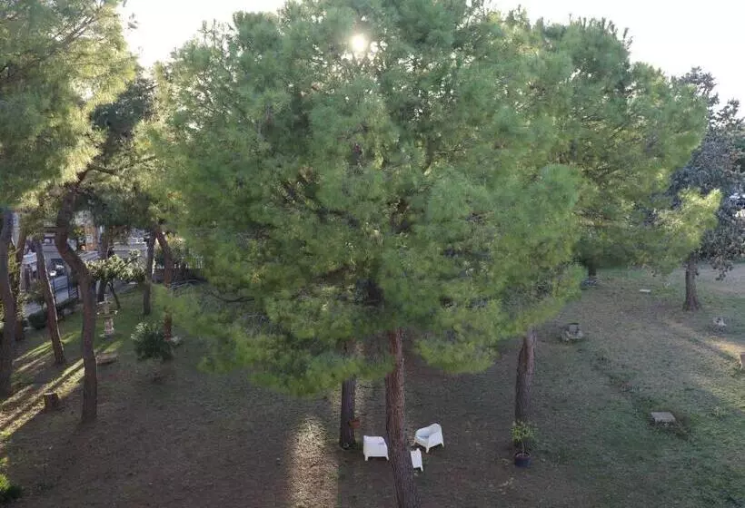 Aamiaismajoitus (B&B) Ostello E Camere Private Prima Luce Foresteria