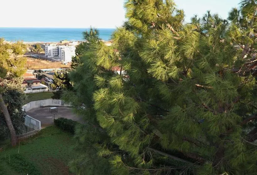 Aamiaismajoitus (B&B) Ostello E Camere Private Prima Luce Foresteria