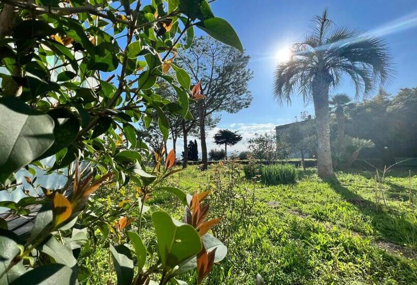 Bed and Breakfast Ostello E Camere Private Prima Luce Foresteria