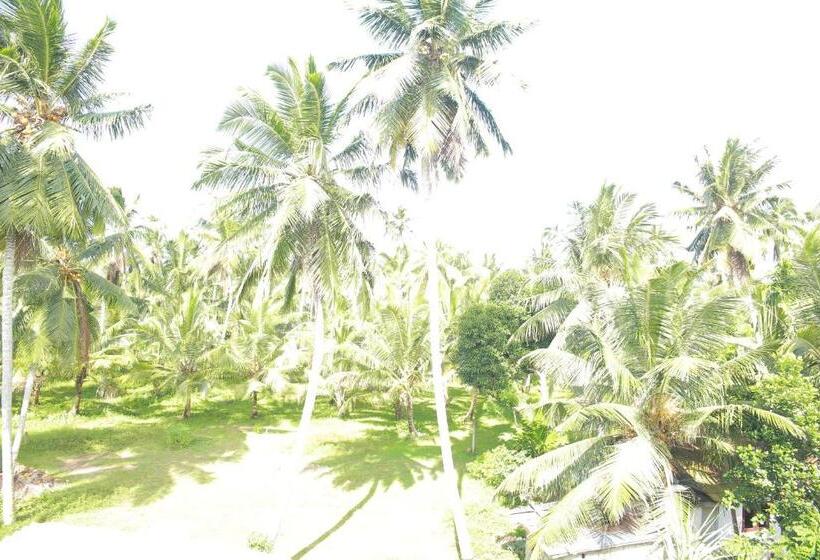 Bed & Breakfast Villa71