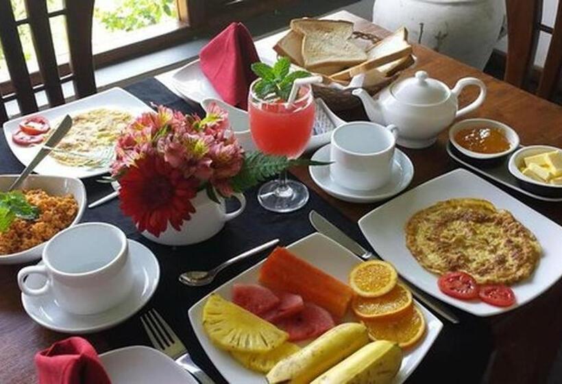 Bed & Breakfast Villa71