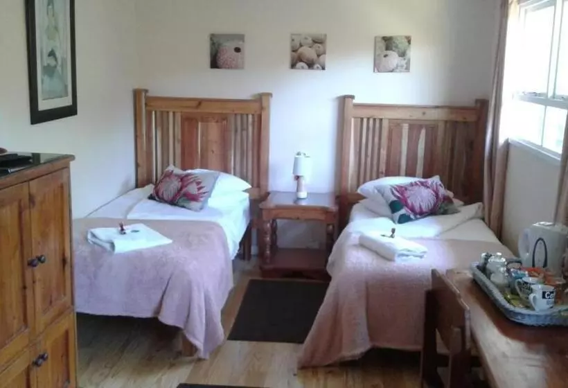 Majatalo 18 On Thesen