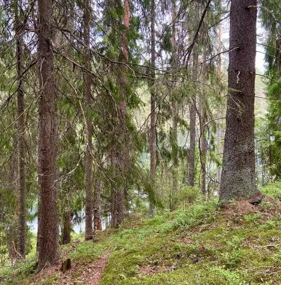 Majatalo Handlarens Villa   Vandrarhem De Luxe