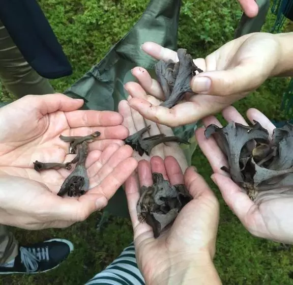 Majatalo Handlarens Villa   Vandrarhem De Luxe