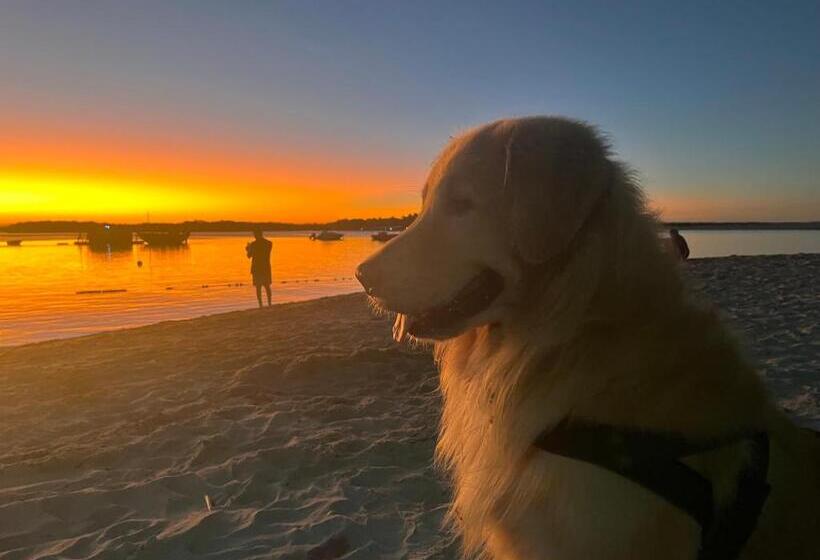 بنسيون Pousada Casa De Naue   Ilha De Boipeba