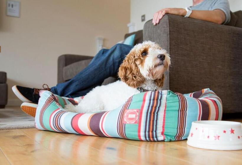 Hot Tub Lodge At Retallack Resort With 2