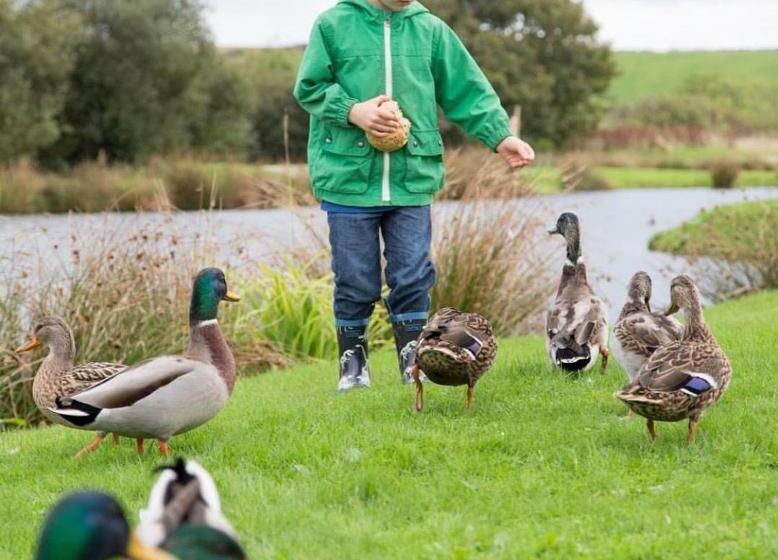 Hot Tub Lodge At Retallack Resort With 2