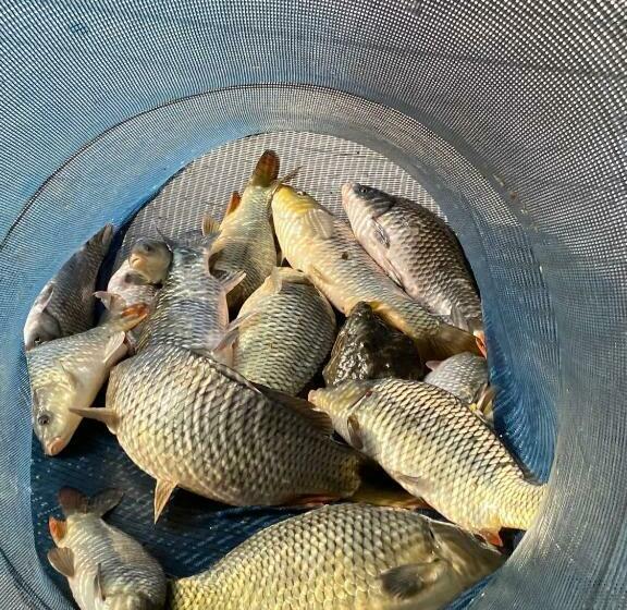 Pensiunea Belvedere Yachtclub Berzasca