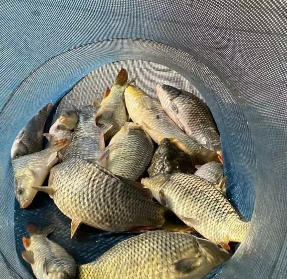 Pensiunea Belvedere Yachtclub Berzasca