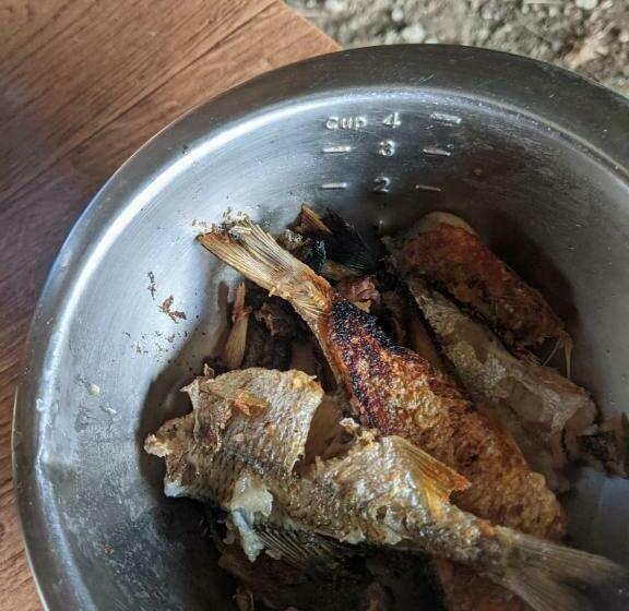 Pensiunea Belvedere Yachtclub Berzasca