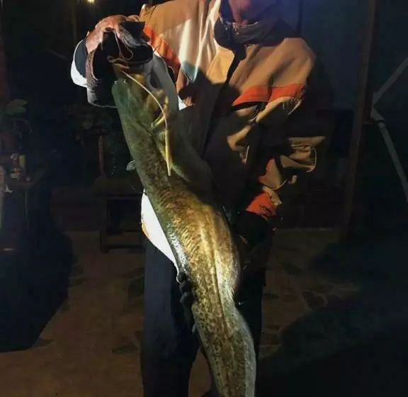 Pensiunea Belvedere Yachtclub Berzasca