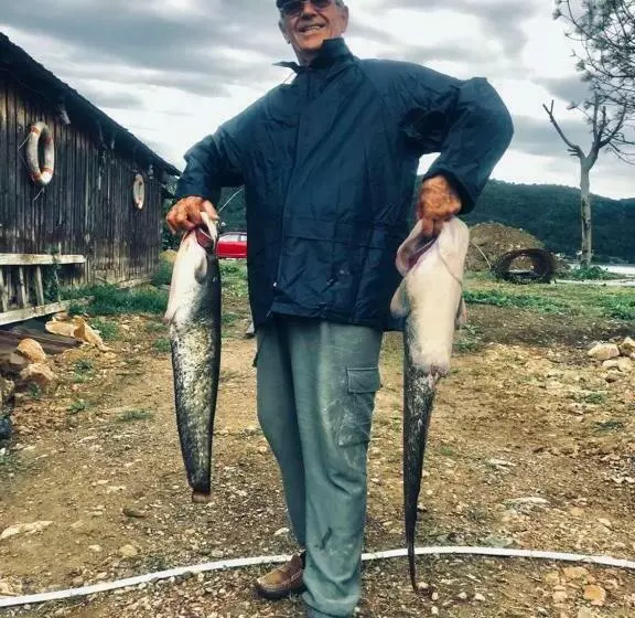 Pensiunea Belvedere Yachtclub Berzasca