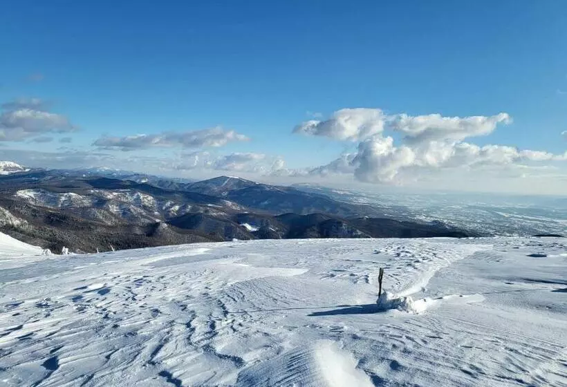 Pensiunea Mountain Pearl