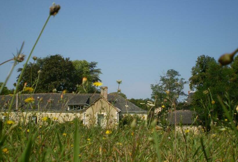 ベッドアンドブレックファースト Grésillon