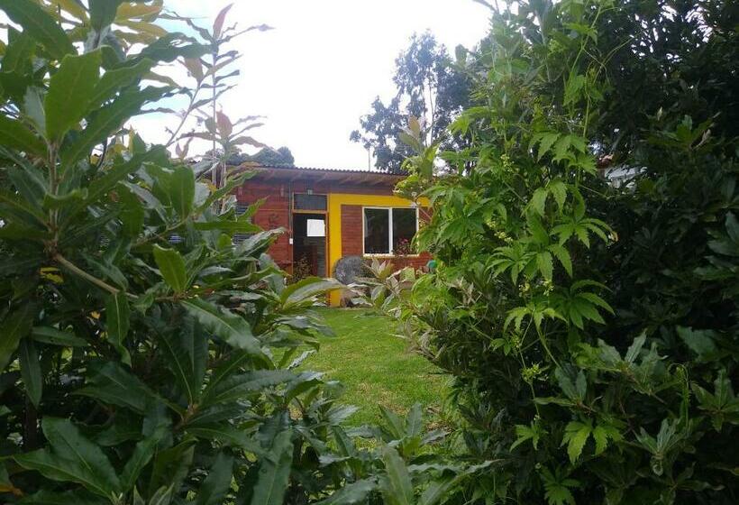 Bed and Breakfast Hospedaje Gratitud Guatavita