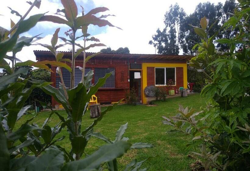 Bed and Breakfast Hospedaje Gratitud Guatavita