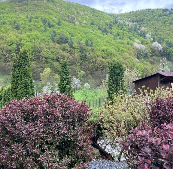 بنسيون Casa Dintre Brazi Hunedoara