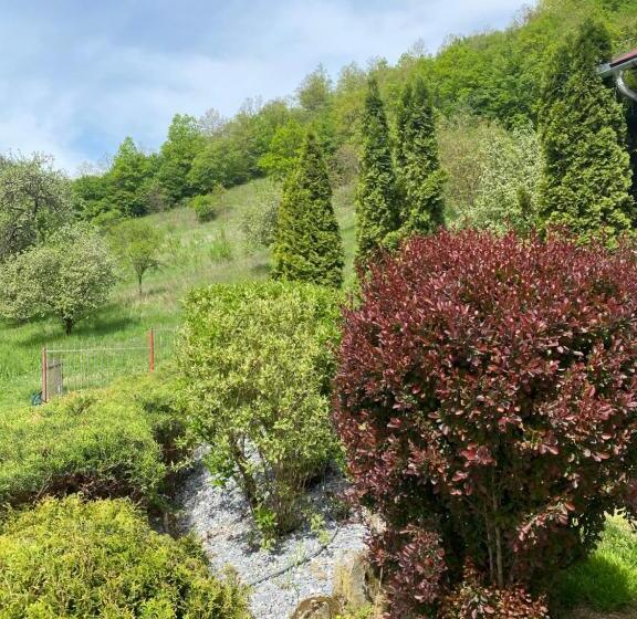 بنسيون Casa Dintre Brazi Hunedoara