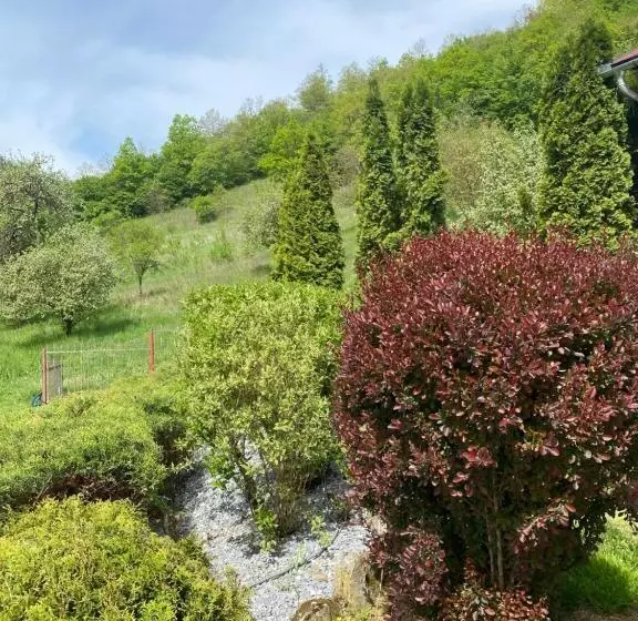 پانسیون Casa Dintre Brazi Hunedoara