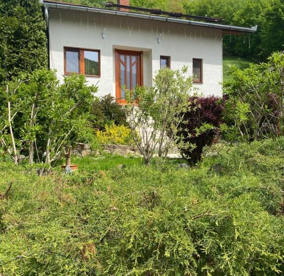 بنسيون Casa Dintre Brazi Hunedoara