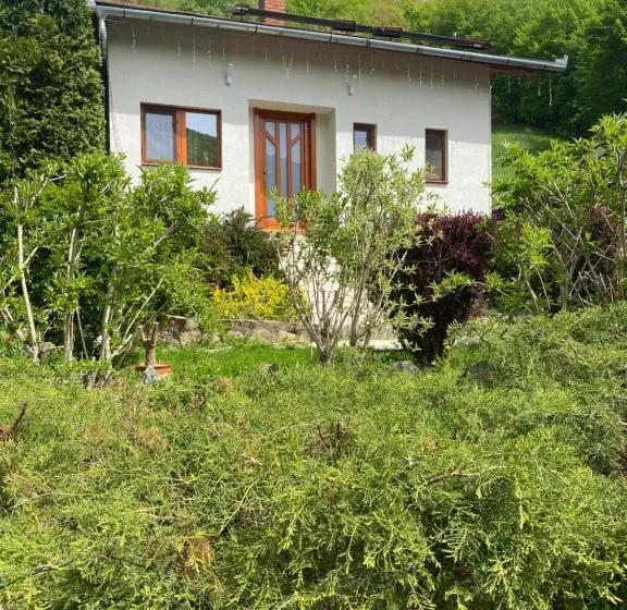پانسیون Casa Dintre Brazi Hunedoara