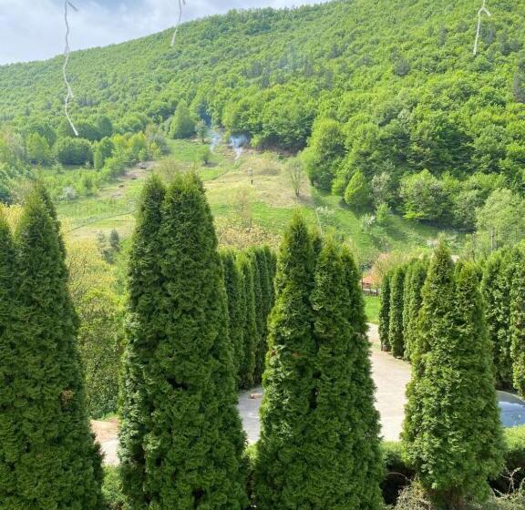 بنسيون Casa Dintre Brazi Hunedoara