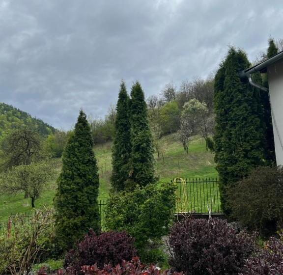 بنسيون Casa Dintre Brazi Hunedoara